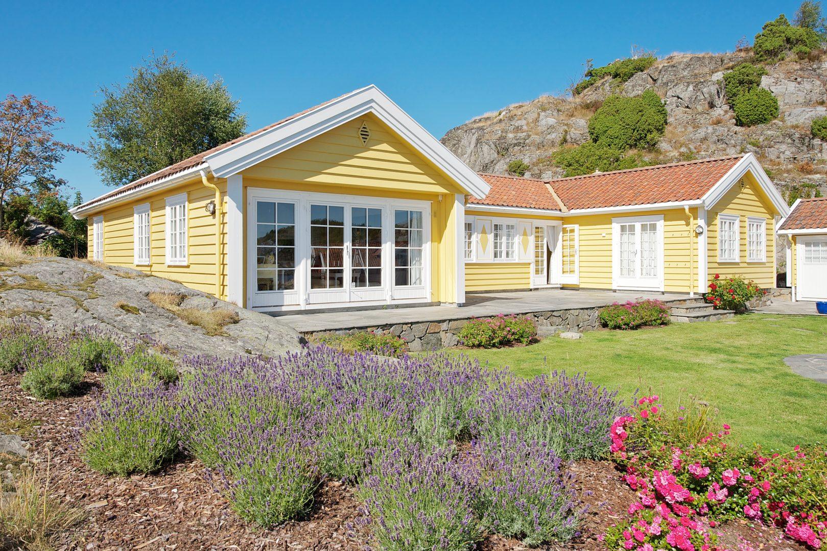 Gult hus med hvite vinduer og lavendel i hagen